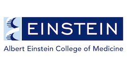 Alber Einstein College of Medicine Logo