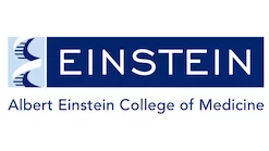 Alber Einstein College of Medicine Logo