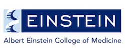 Alber Einstein College of Medicine Logo